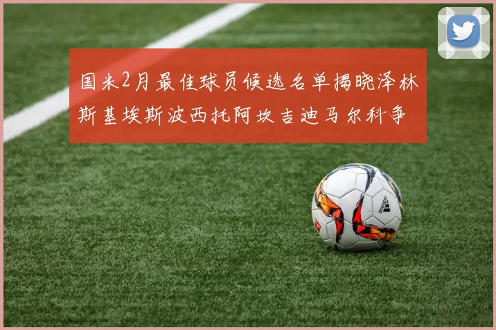 国米2月最佳球员候选名单揭晓泽林斯基埃斯波西托阿坎吉迪马尔科争夺荣誉
